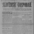 Slovenski gospodar: podu&#x10D;iven list za slovensko ljudstvo (30.11.1916, letnik 50, &#x161;tevilka 48)