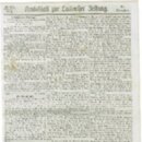 Amtsblatt zur Laibacher Zeitung (28.11.1865, &#x161;tevilka 273)