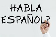 Španščina, ponovitvena  – Špela Šubic Zalezina